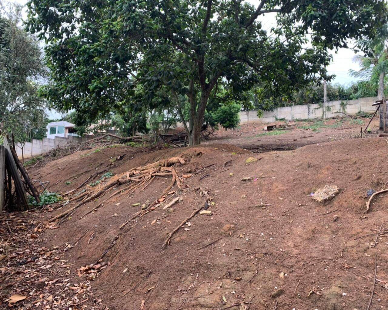 Terreno - Foto 9