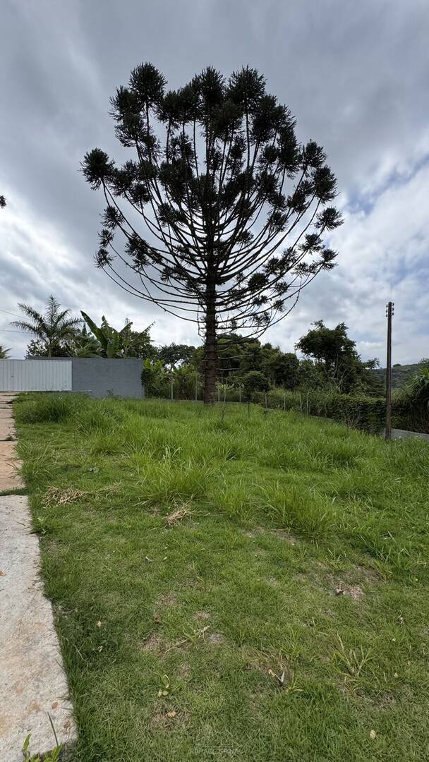 Sítio, 3 quartos, 1250 m² - Foto 22