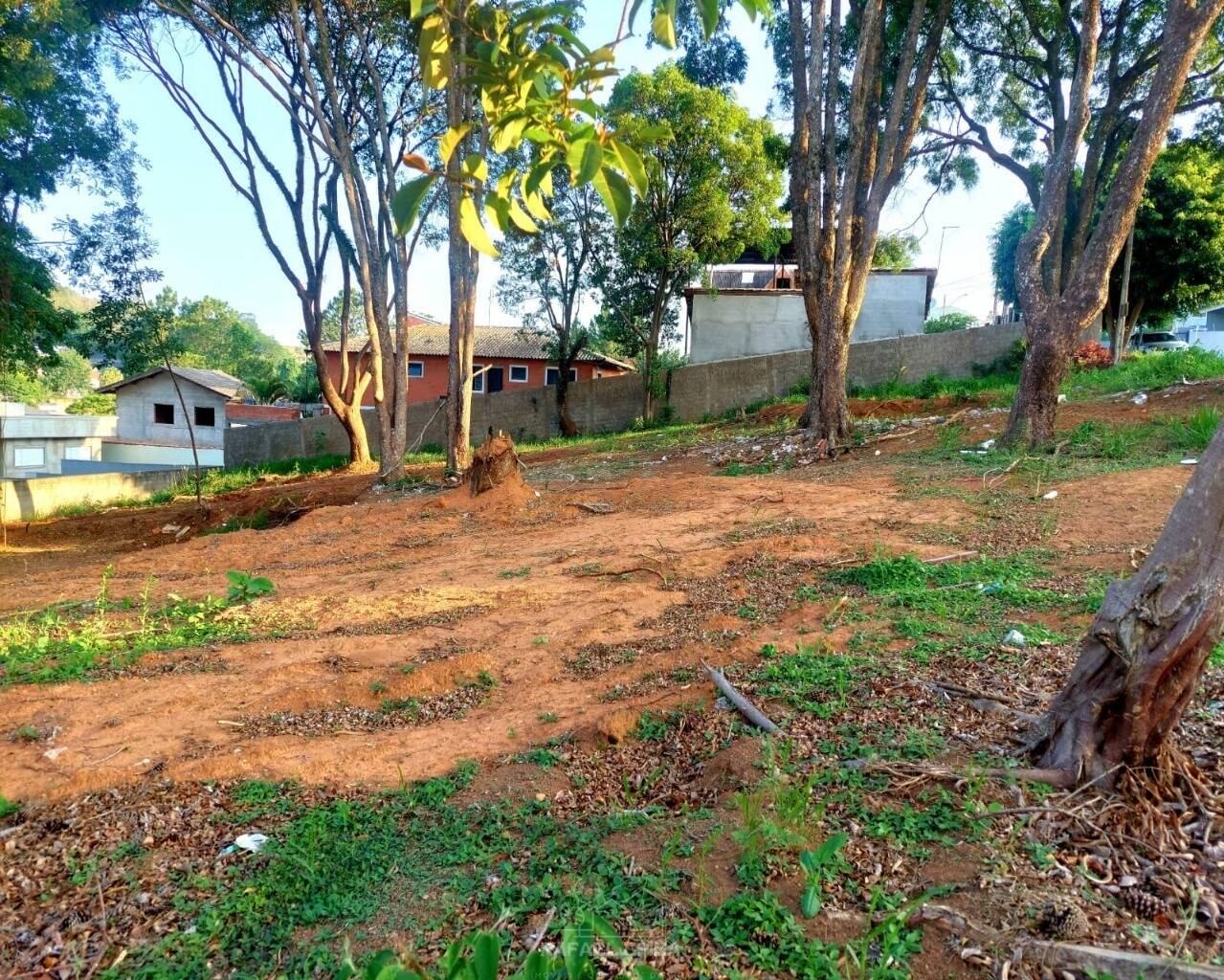 Terreno - Foto 1