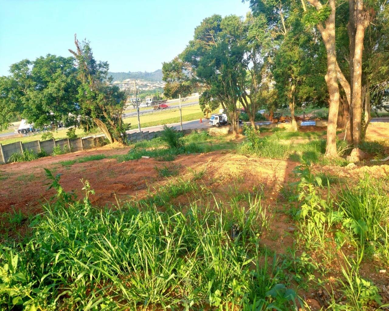 Terreno - Foto 2