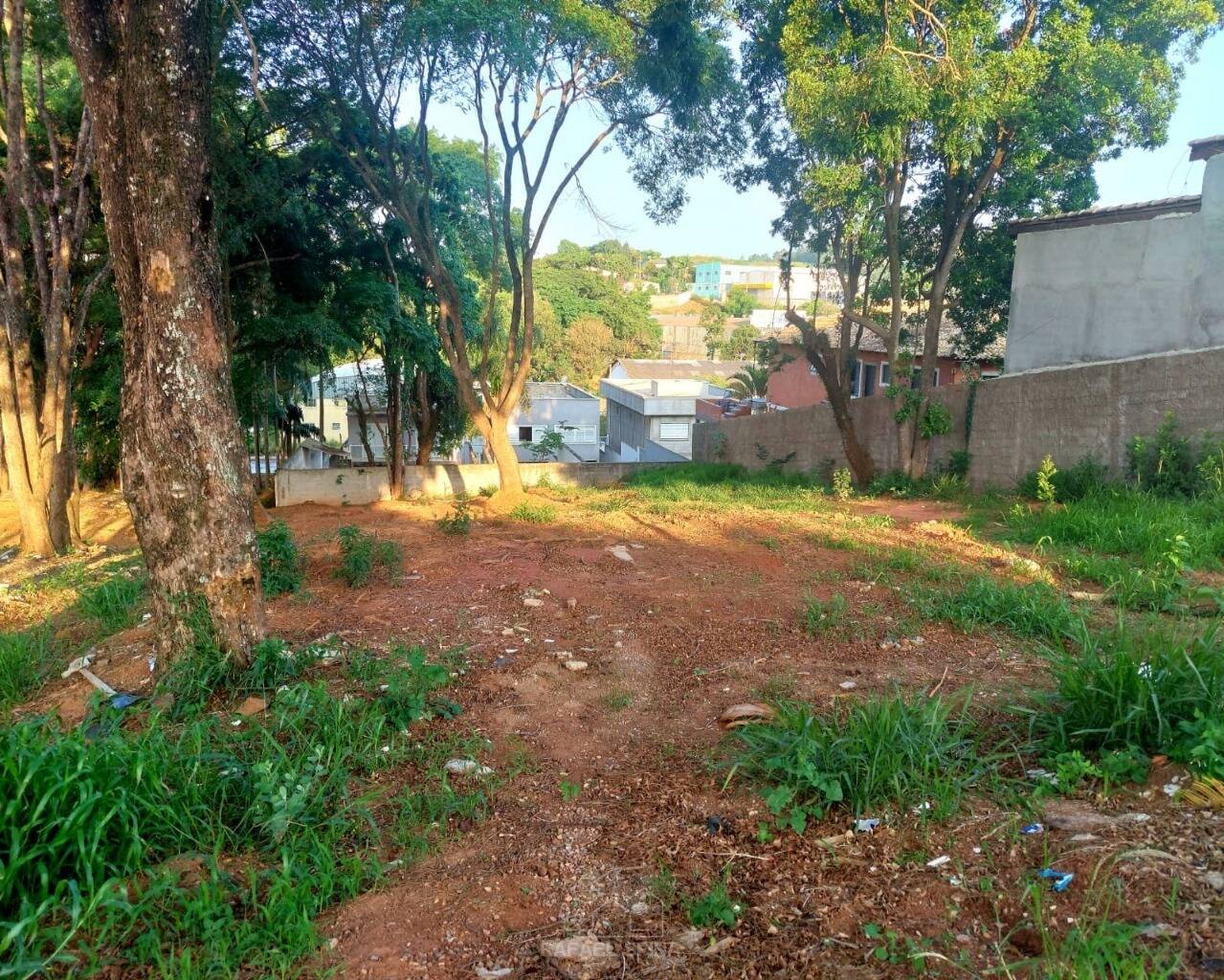 Terreno - Foto 3