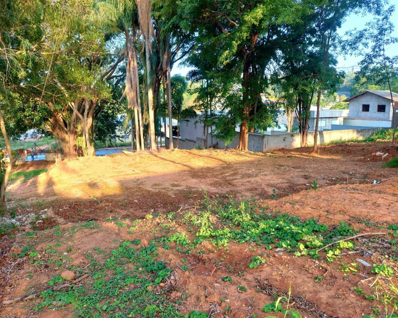 Terreno - Foto 6