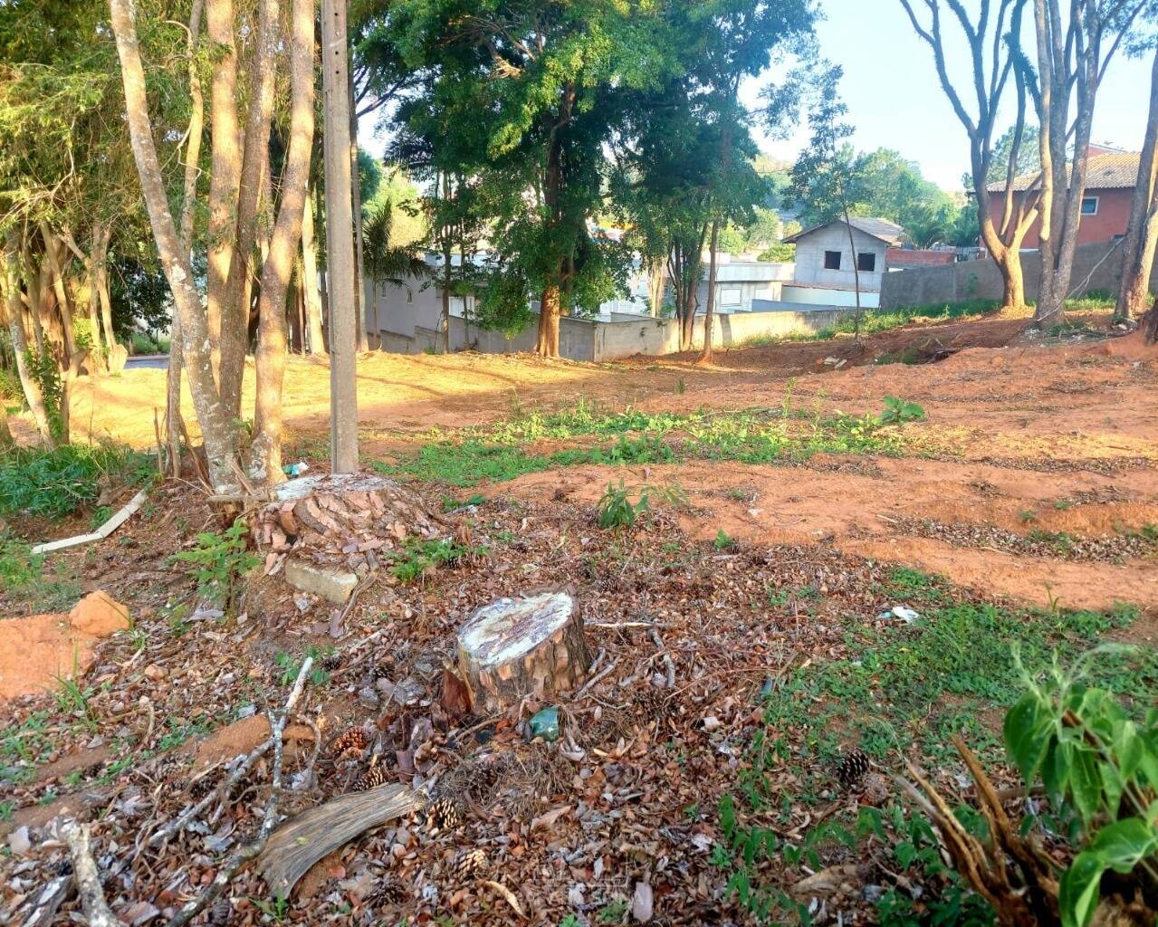 Terreno - Foto 7