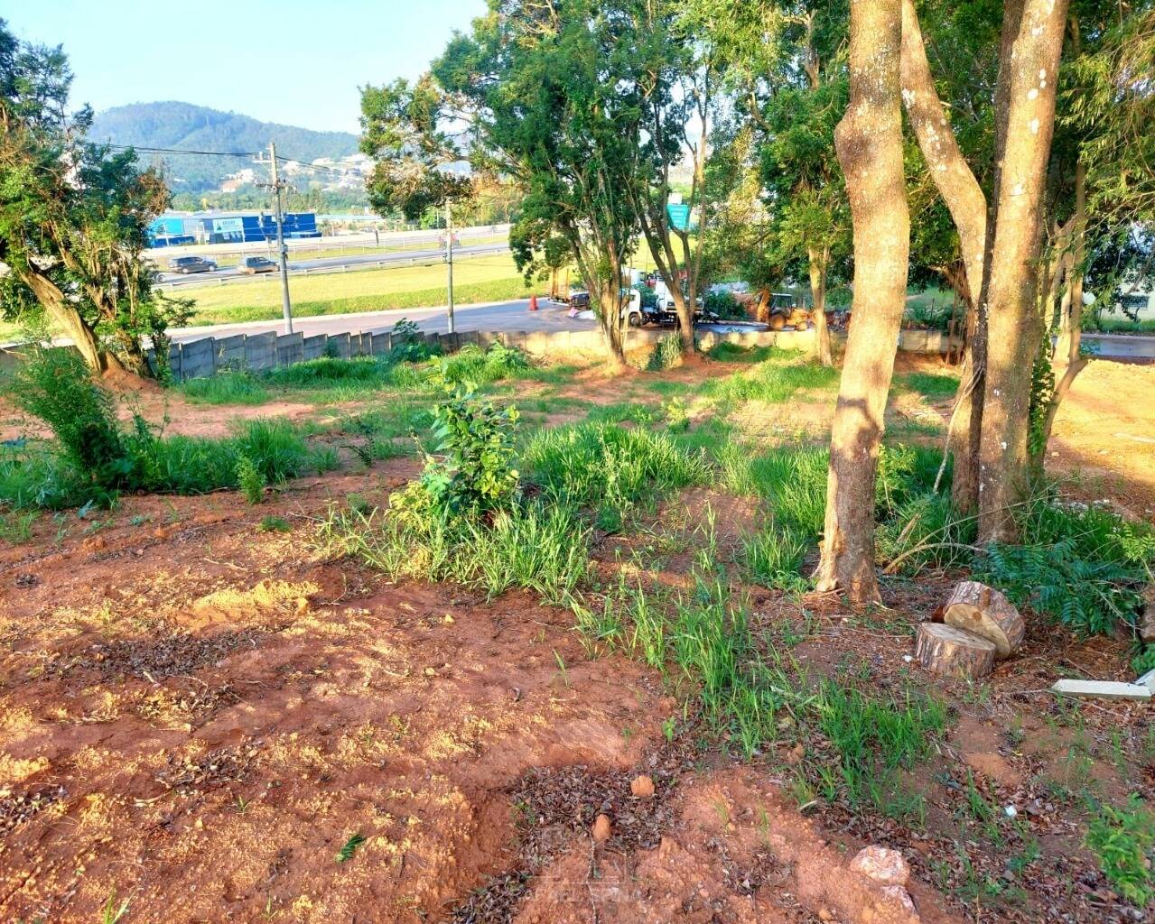 Terreno - Foto 8