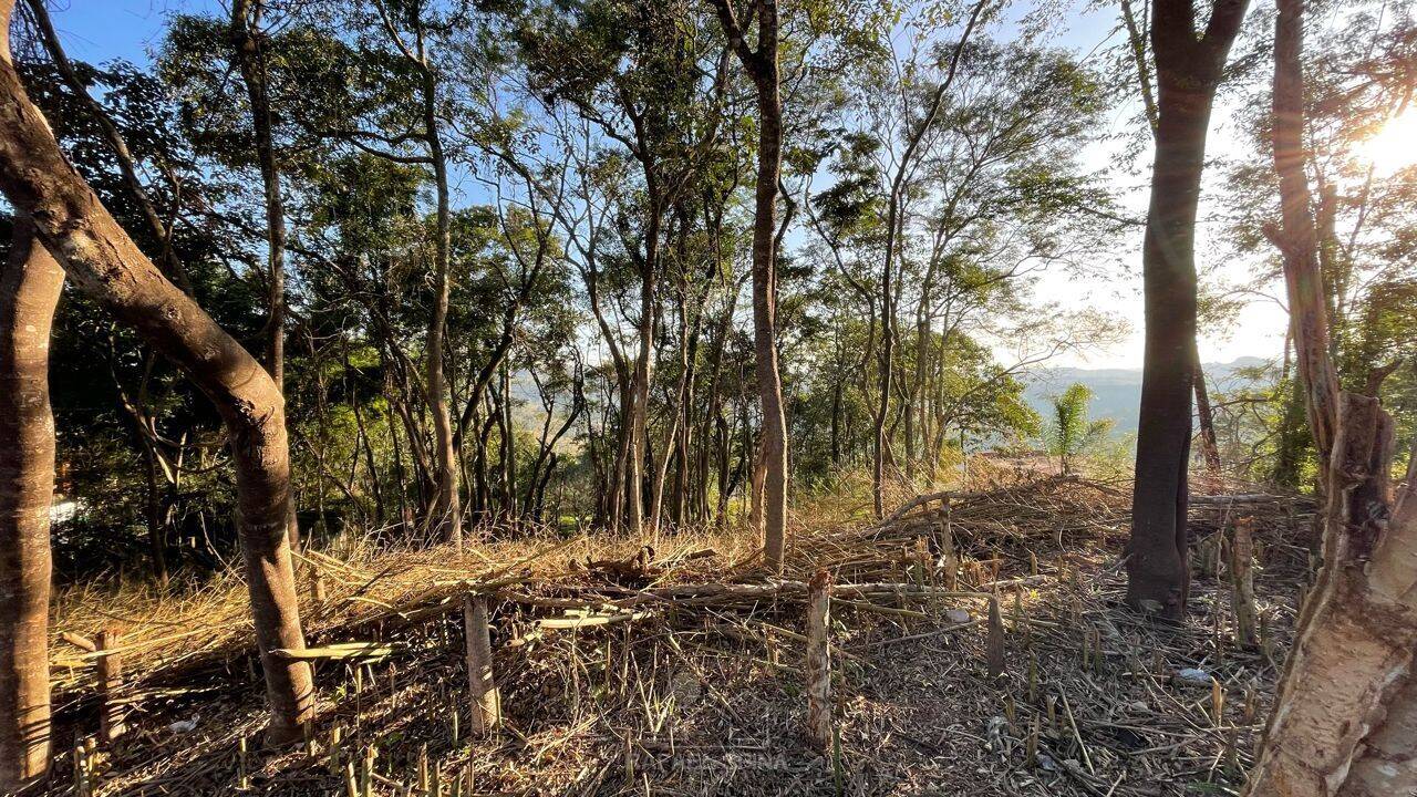 Terreno - Foto 2