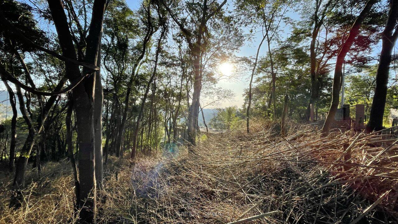 Terreno - Foto 5