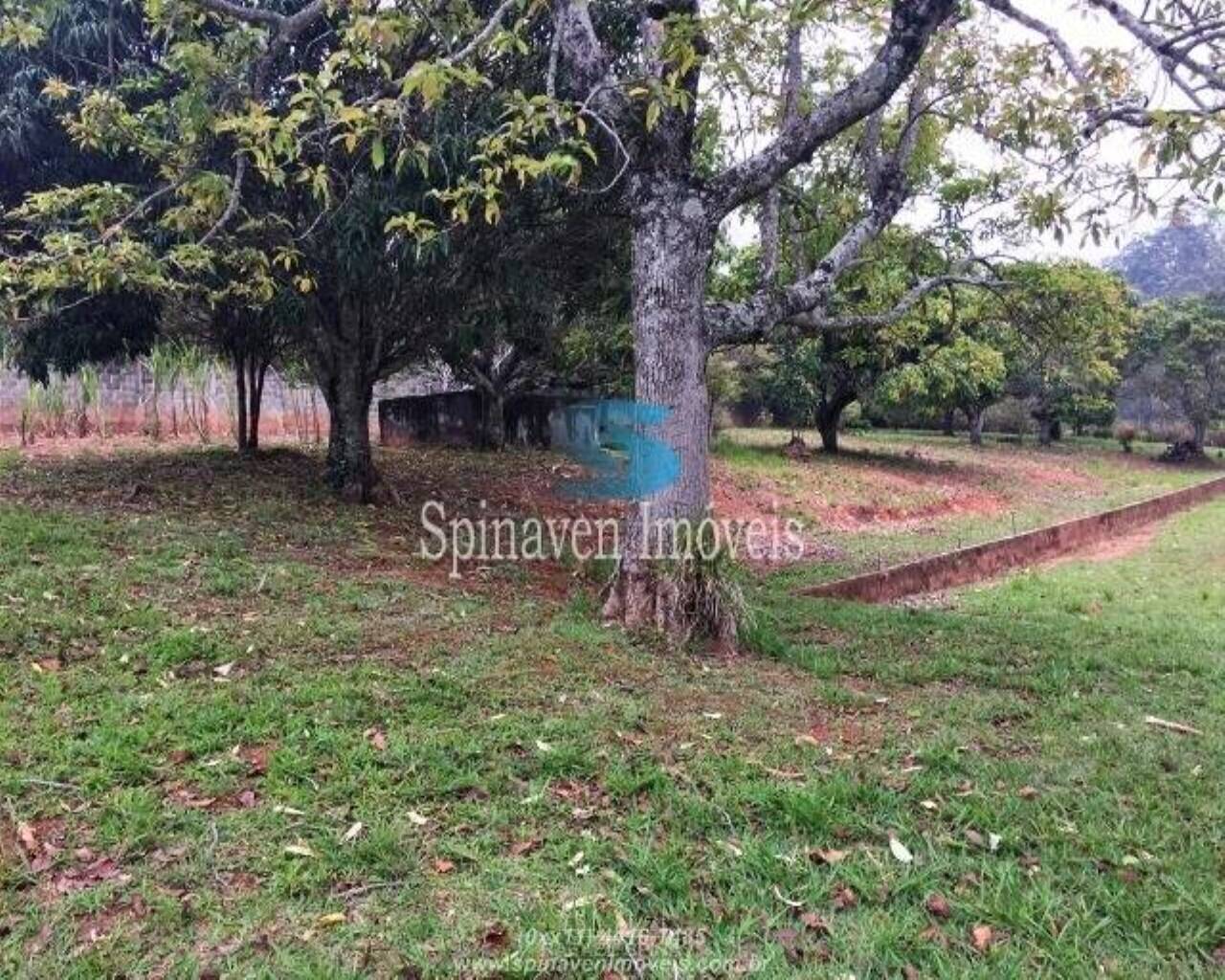 Terreno - Foto 23