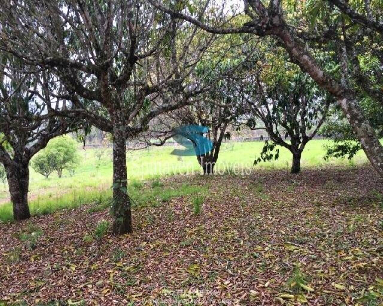 Terreno - Foto 25