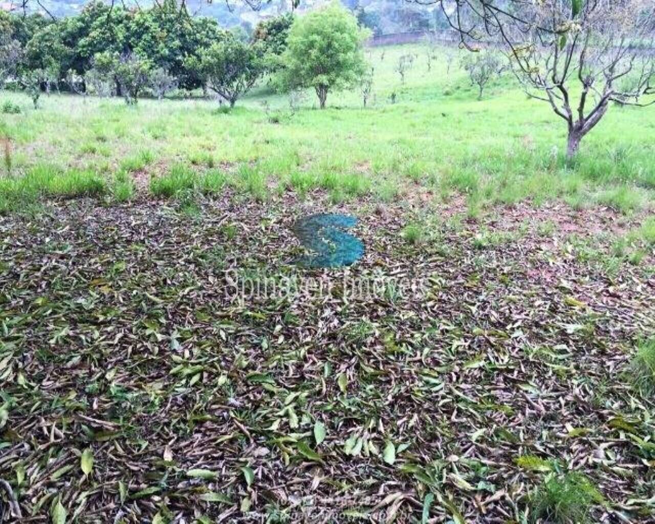 Terreno - Foto 28