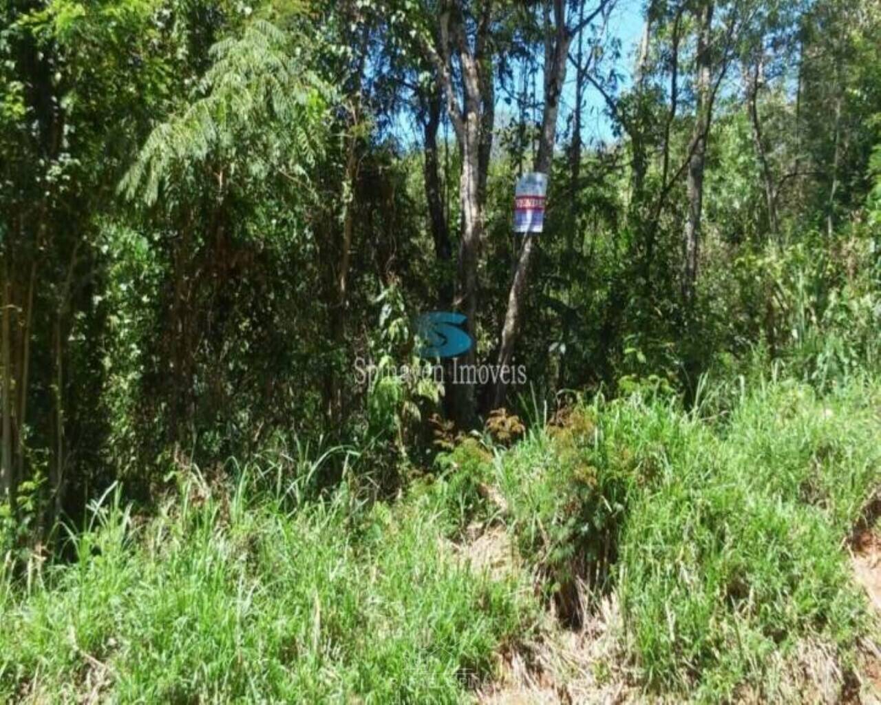 Terreno - Foto 3