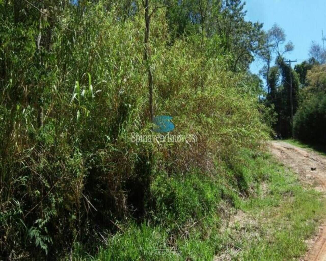 Terreno - Foto 5
