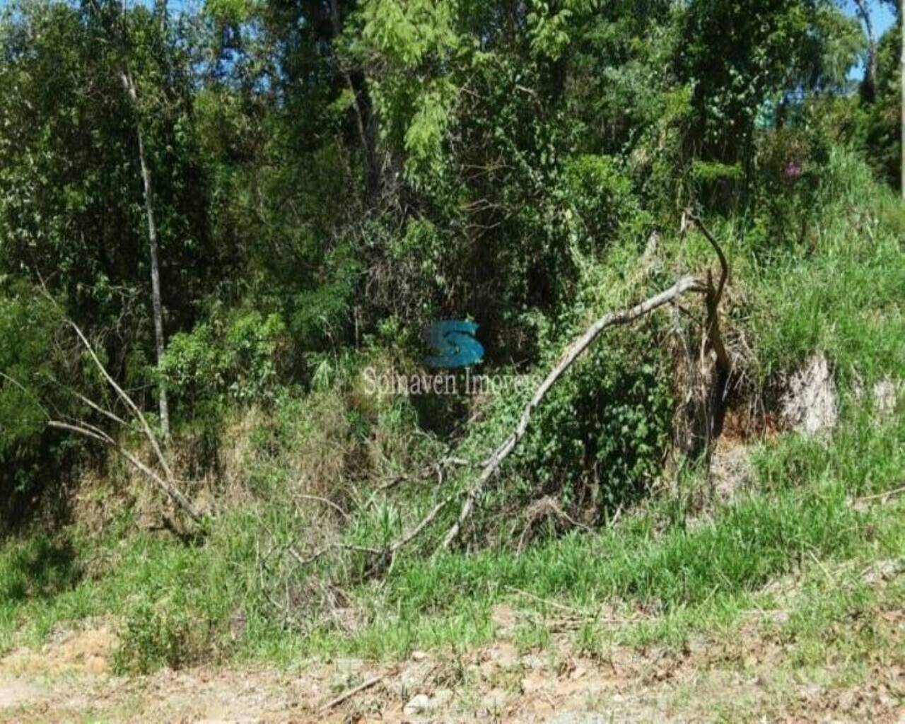 Terreno - Foto 6