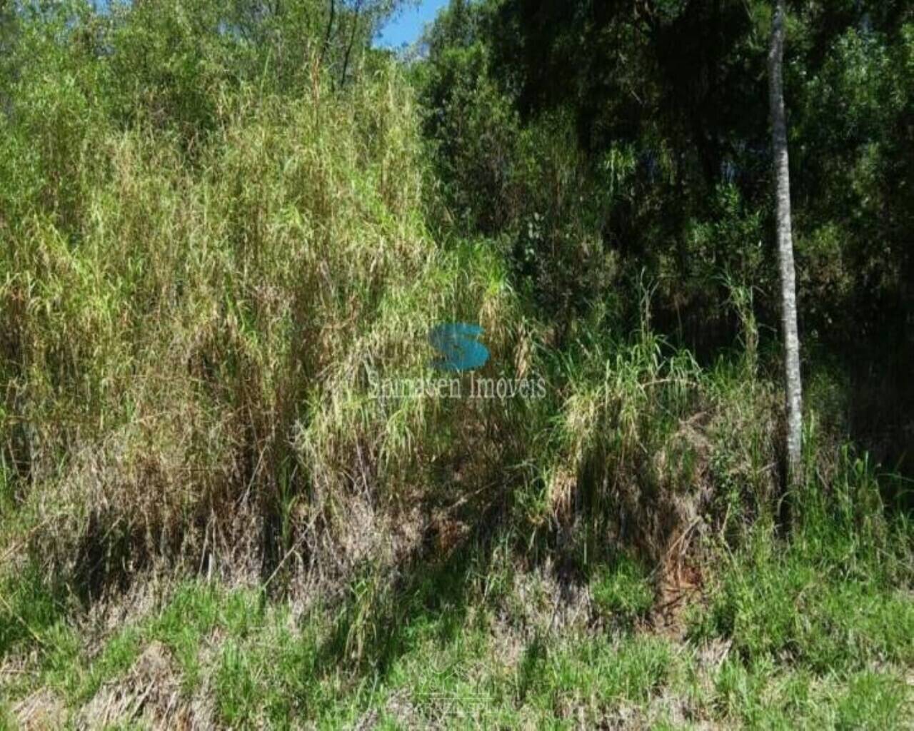 Terreno - Foto 8