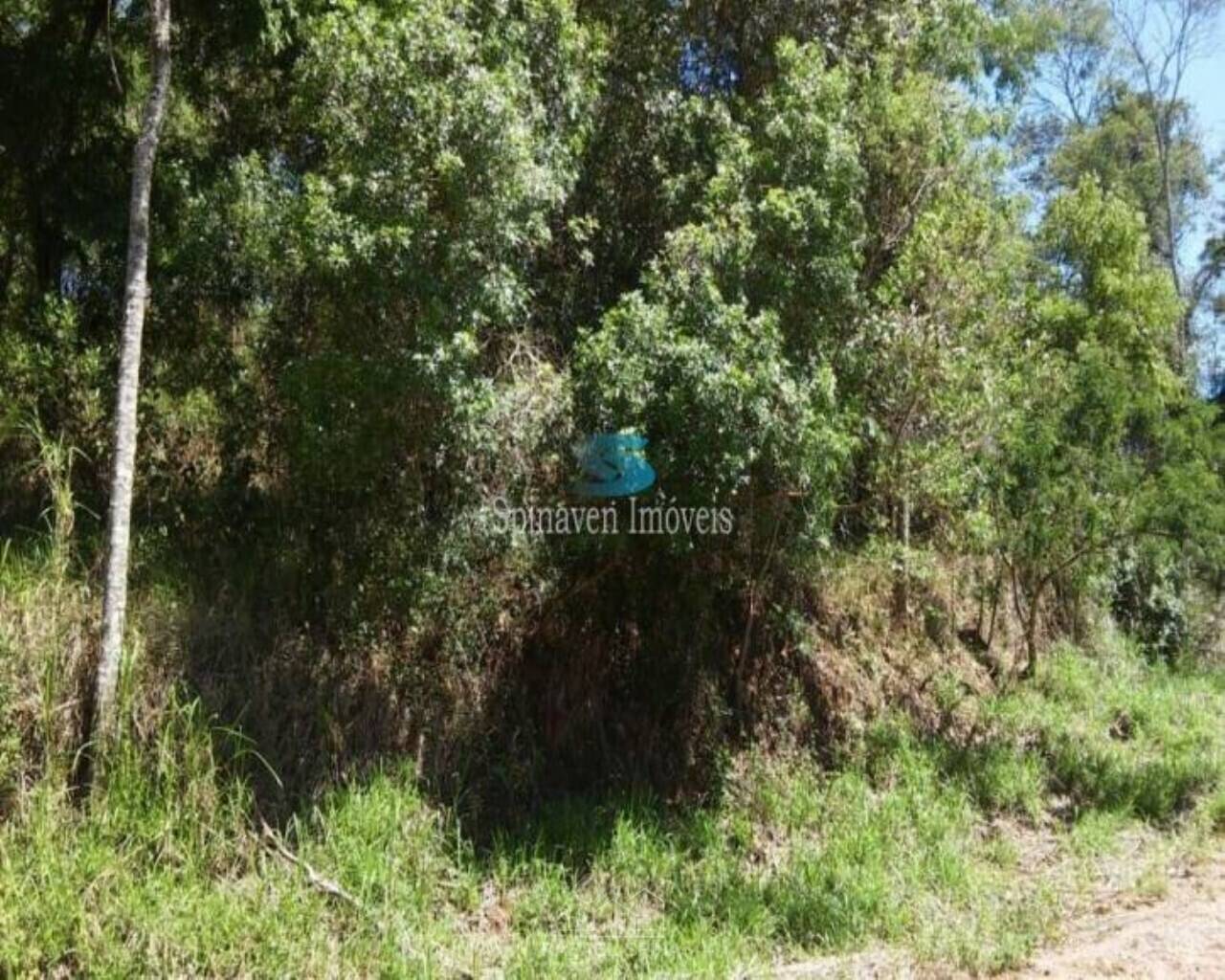 Terreno - Foto 10