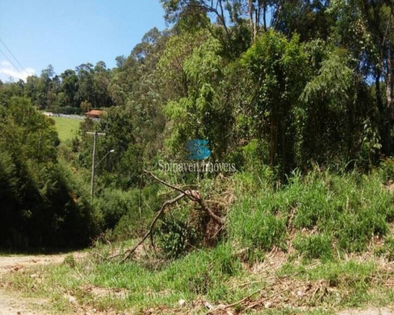 Terreno - Foto 11
