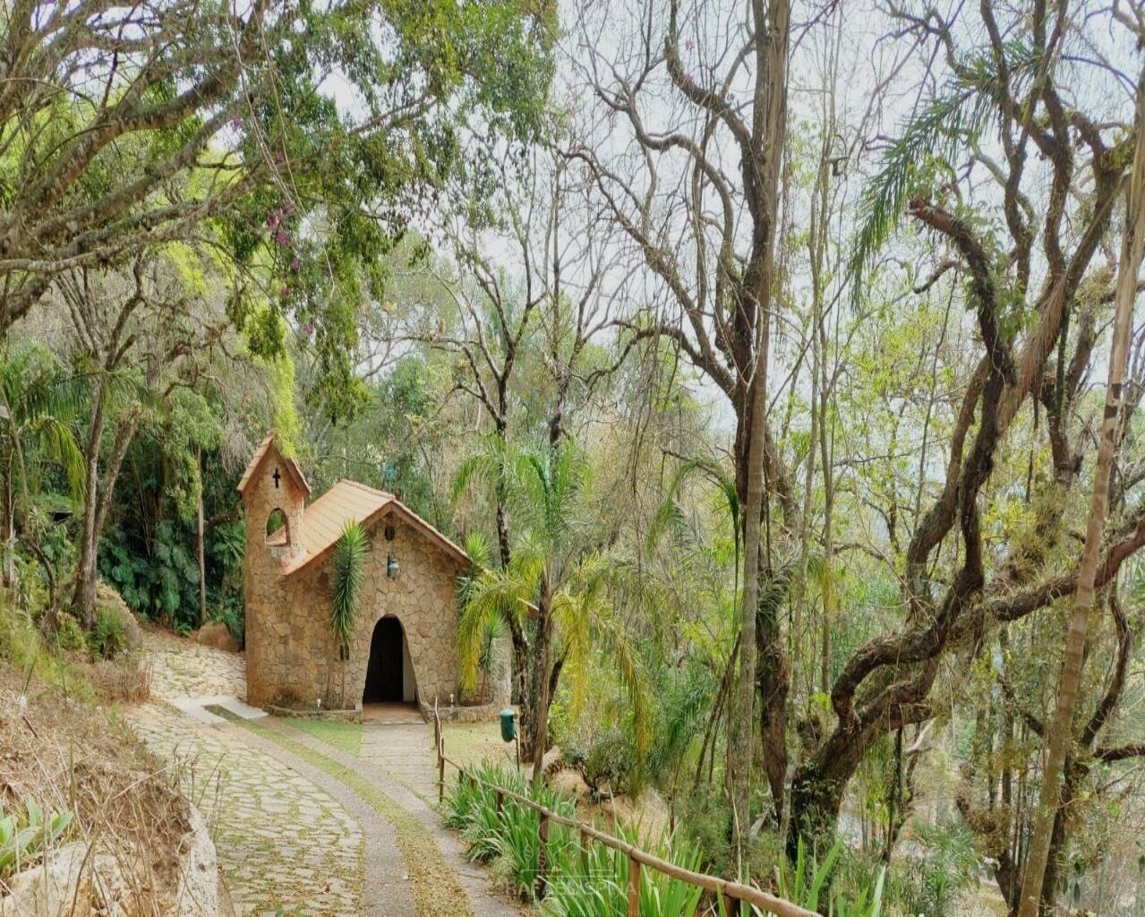 Terreno - Foto 2
