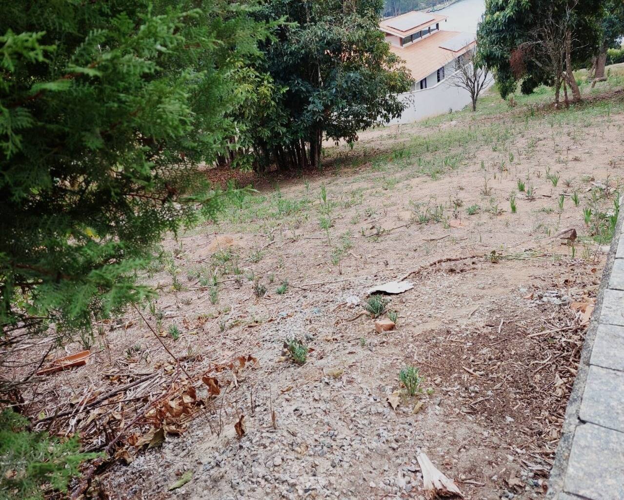 Terreno - Foto 4