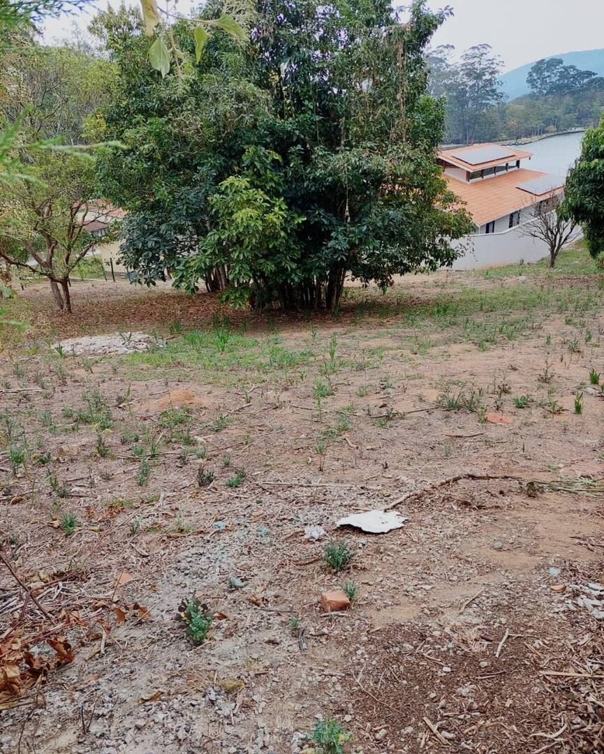 Terreno - Foto 5