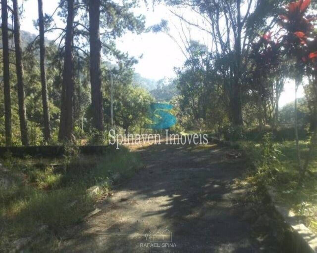 Terreno - Foto 2