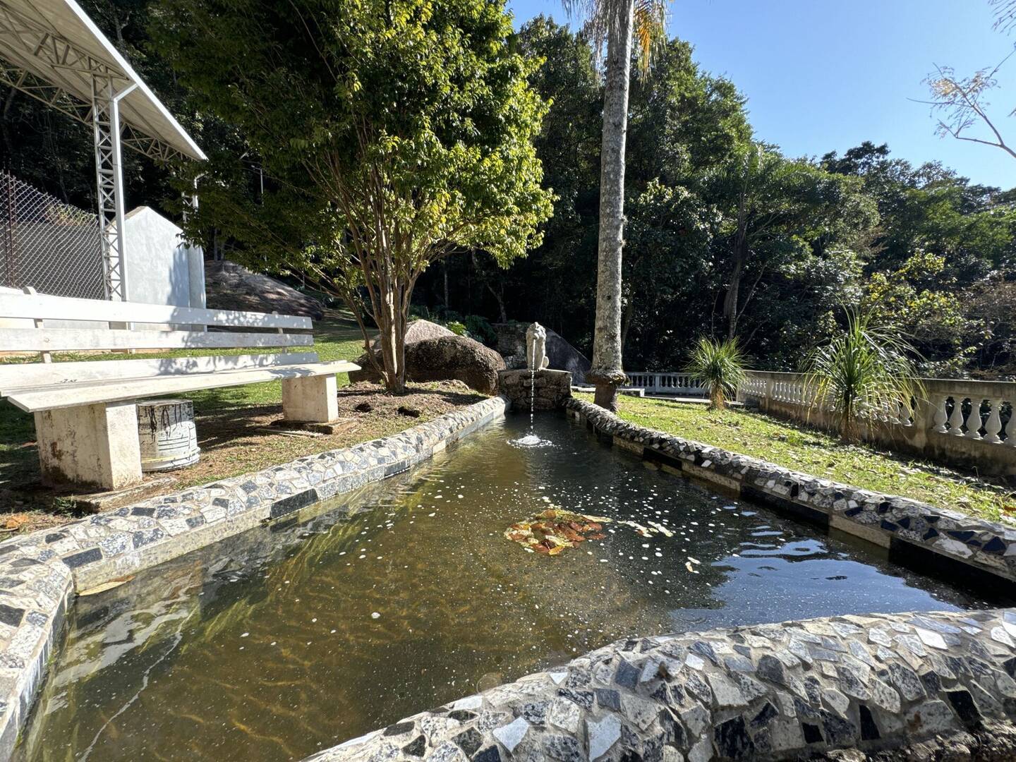 Sítio, 4 quartos, 8 hectares - Foto 6