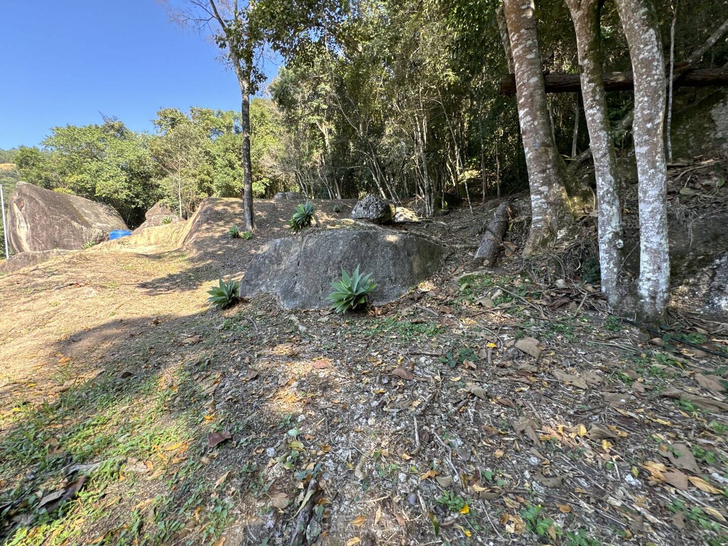 Sítio, 4 quartos, 8 hectares - Foto 11