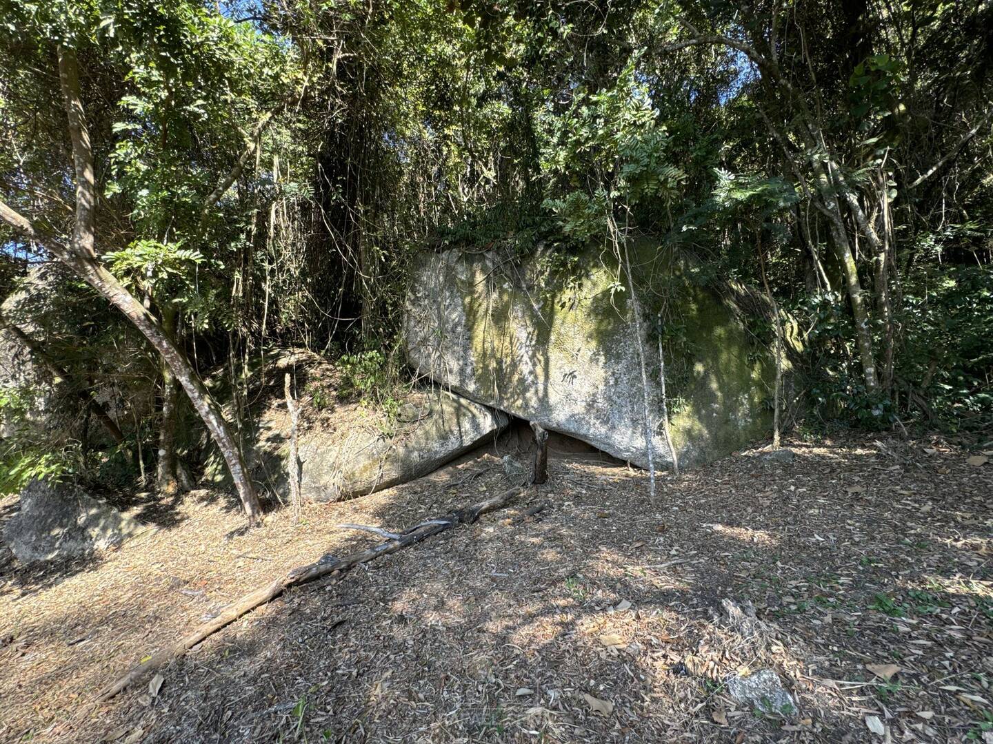 Sítio, 4 quartos, 8 hectares - Foto 12