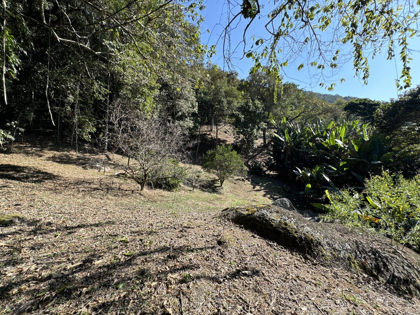 Sítio, 4 quartos, 8 hectares - Foto 15