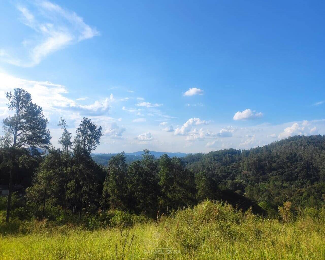 Terreno - Foto 4