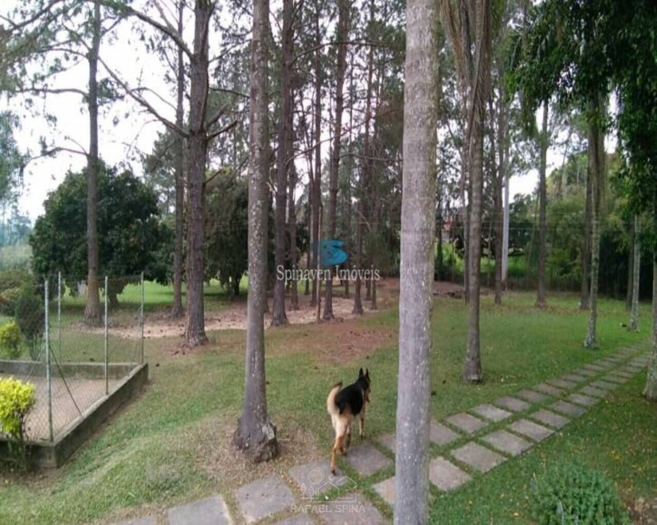 Terreno - Foto 13