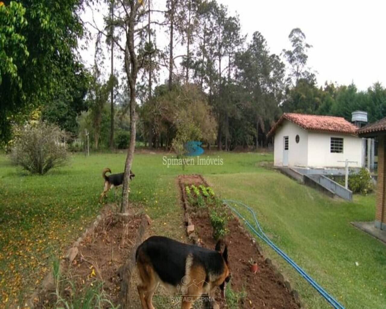 Terreno - Foto 14