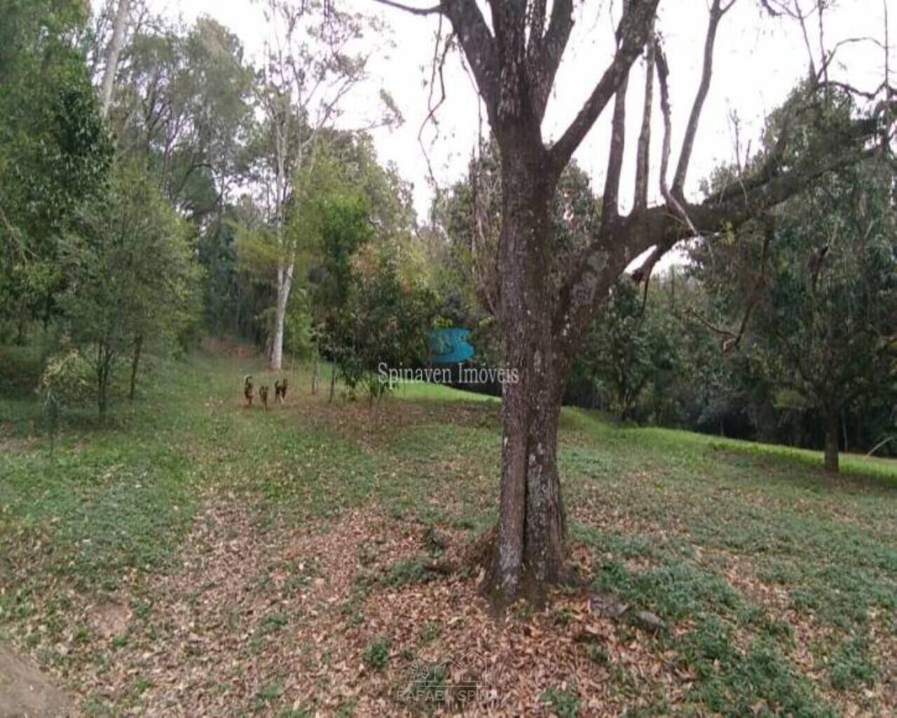 Terreno - Foto 33