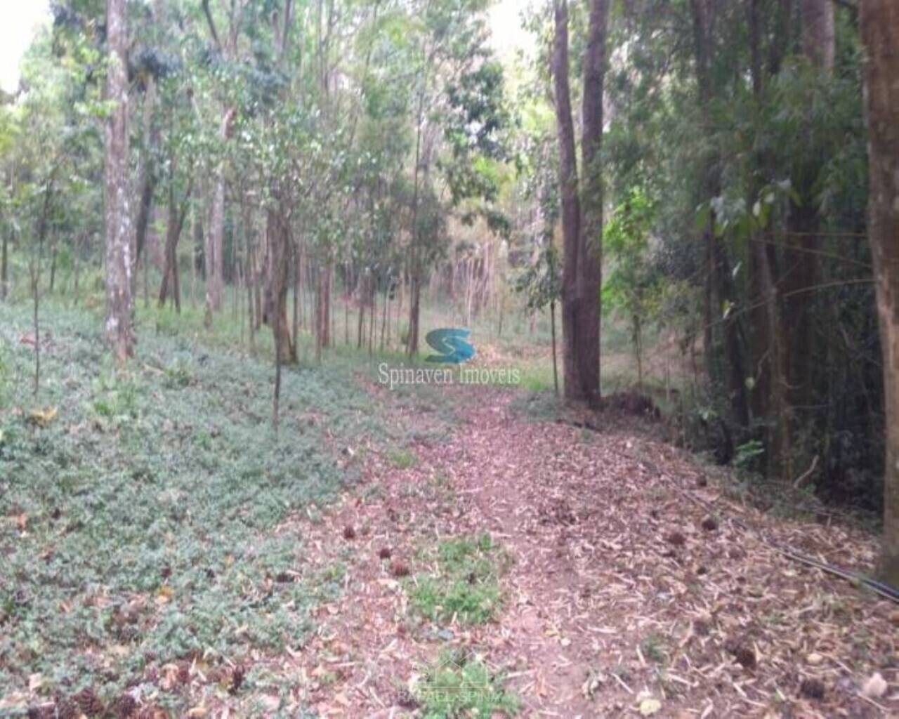 Terreno - Foto 37
