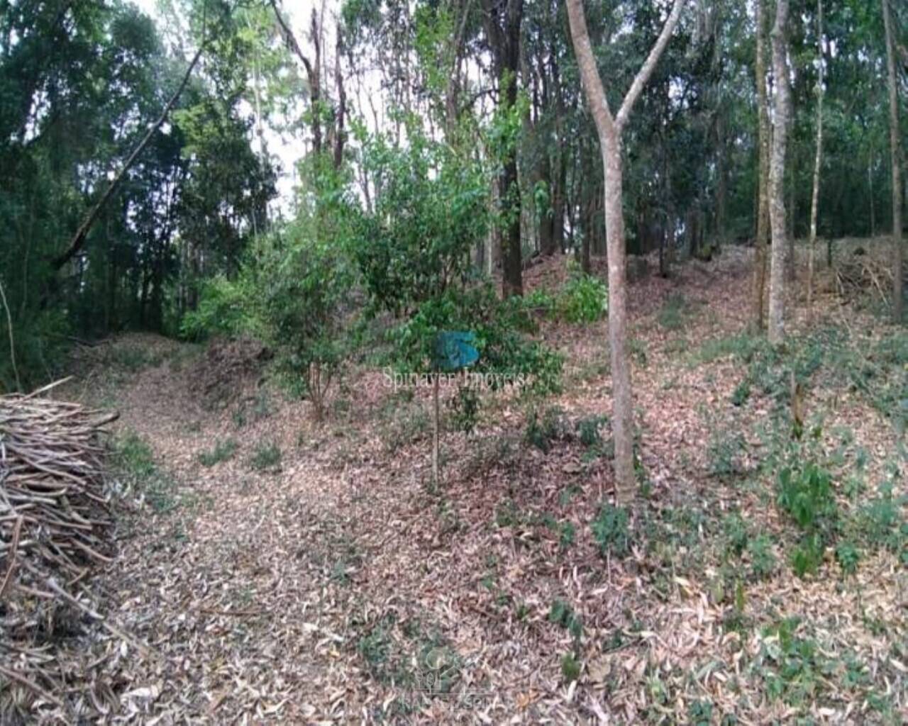 Terreno - Foto 38