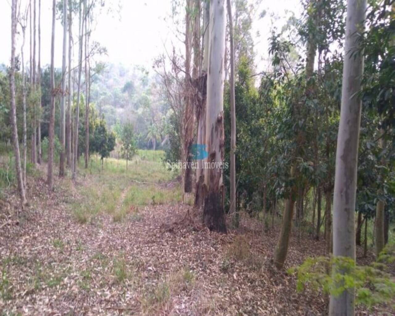 Terreno - Foto 39