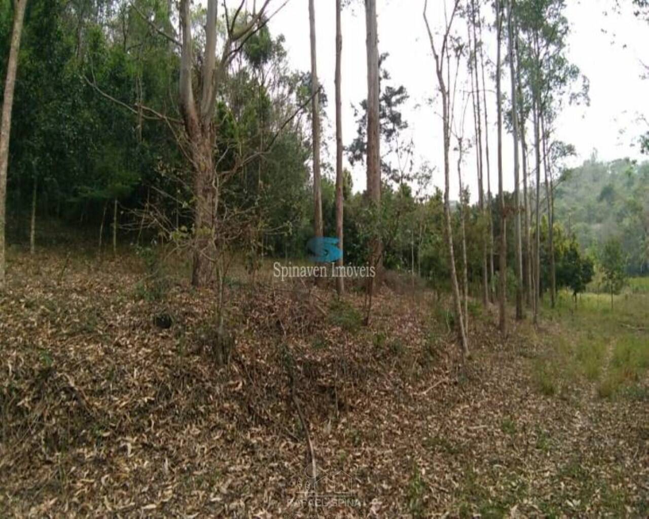 Terreno - Foto 41