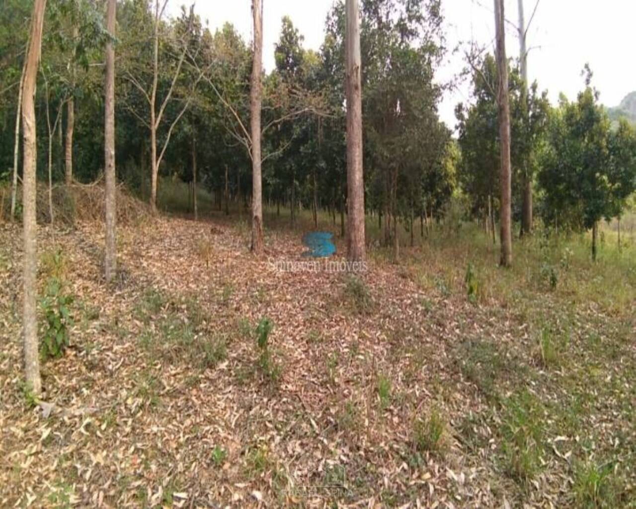 Terreno - Foto 42