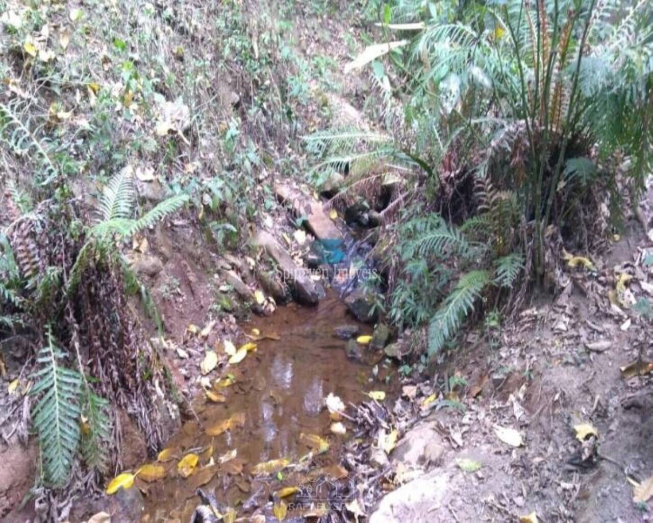 Terreno - Foto 49