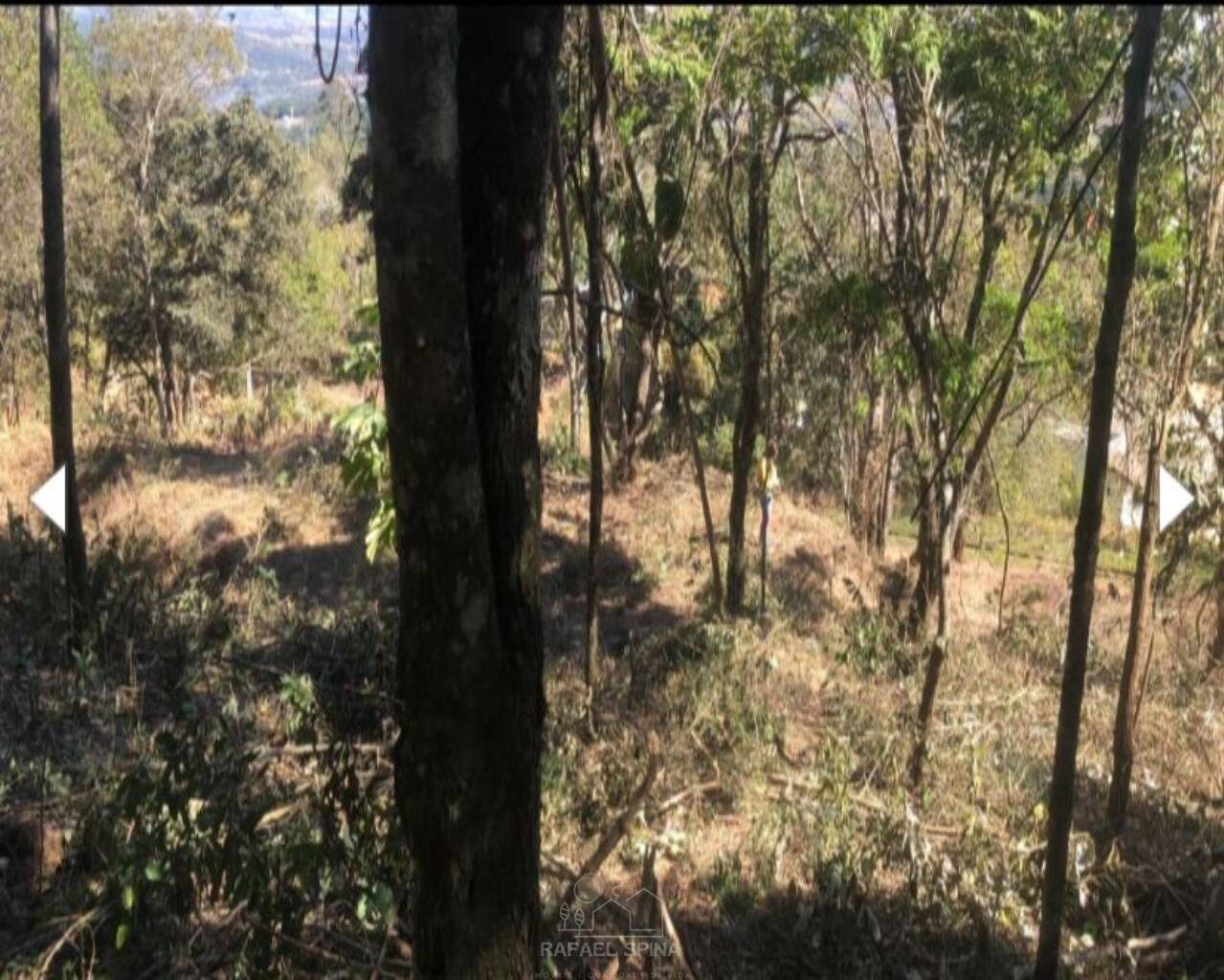 Terreno - Foto 2