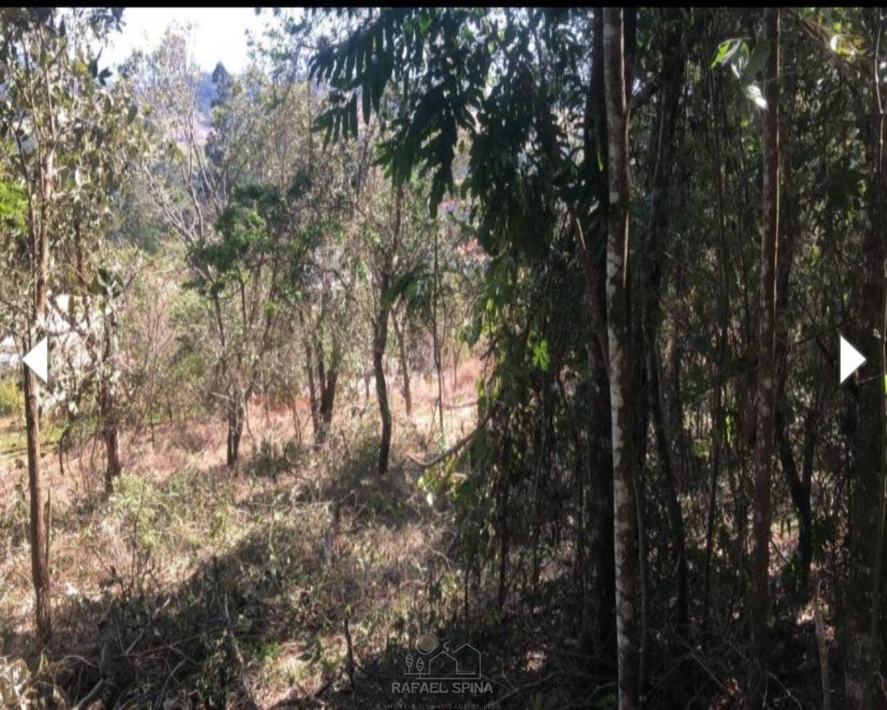 Terreno - Foto 3