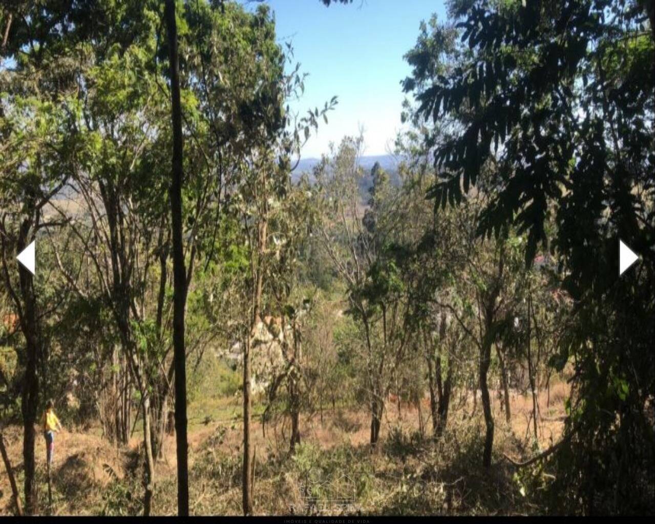 Terreno - Foto 4