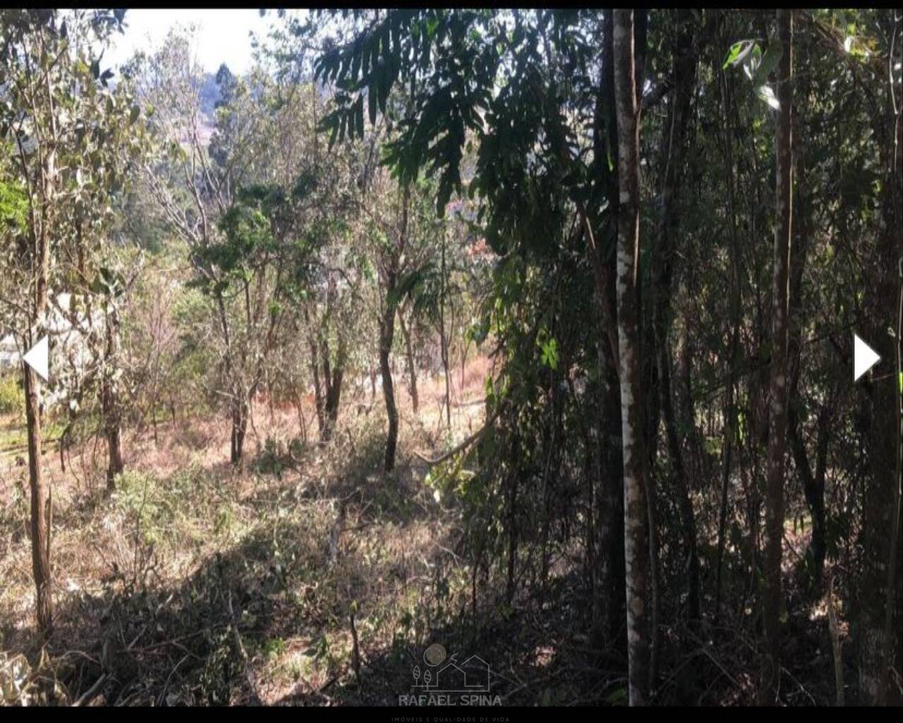 Terreno - Foto 7