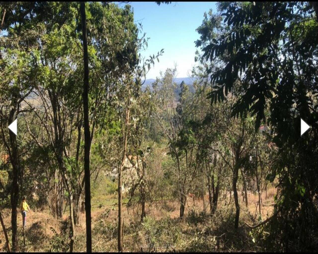 Terreno - Foto 9