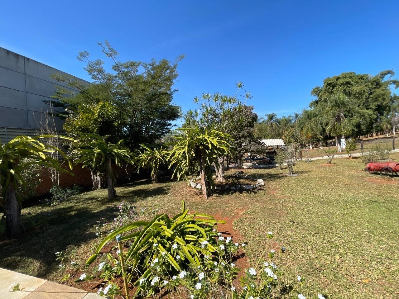 Sítio, 4 quartos, 2 hectares - Foto 20