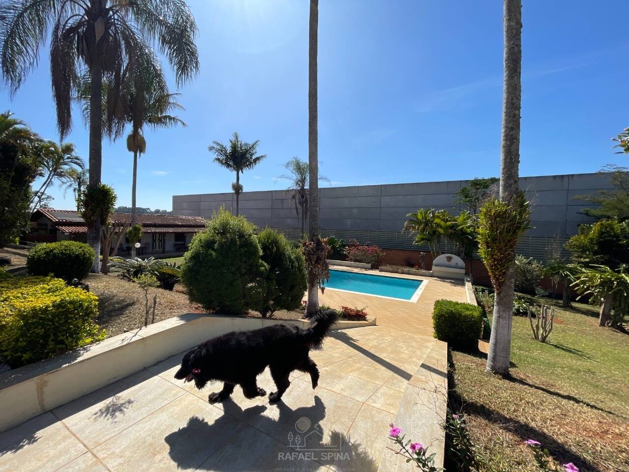 Sítio, 4 quartos, 2 hectares - Foto 23