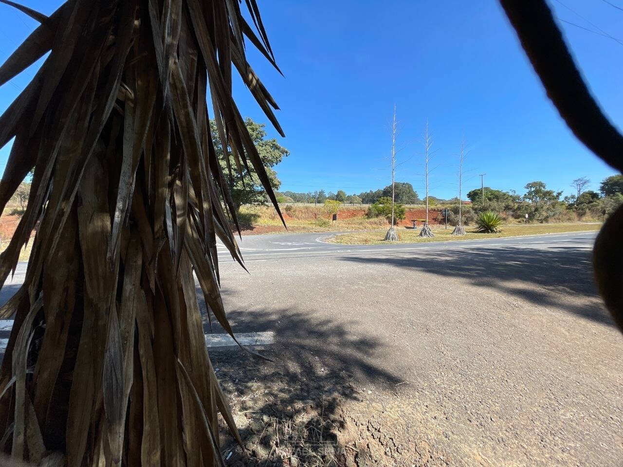 Sítio, 4 quartos, 2 hectares - Foto 34