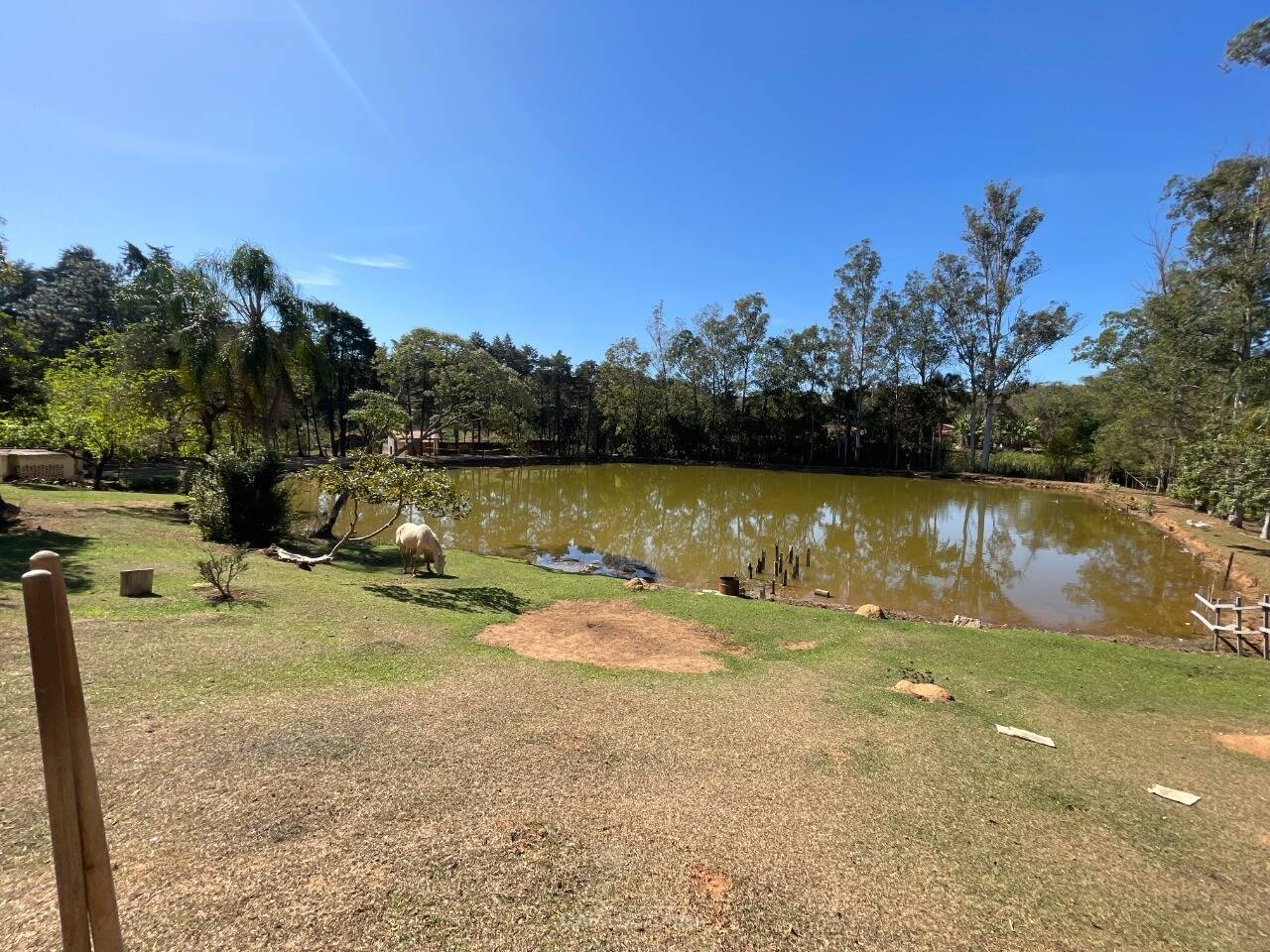 Sítio, 4 quartos, 2 hectares - Foto 40