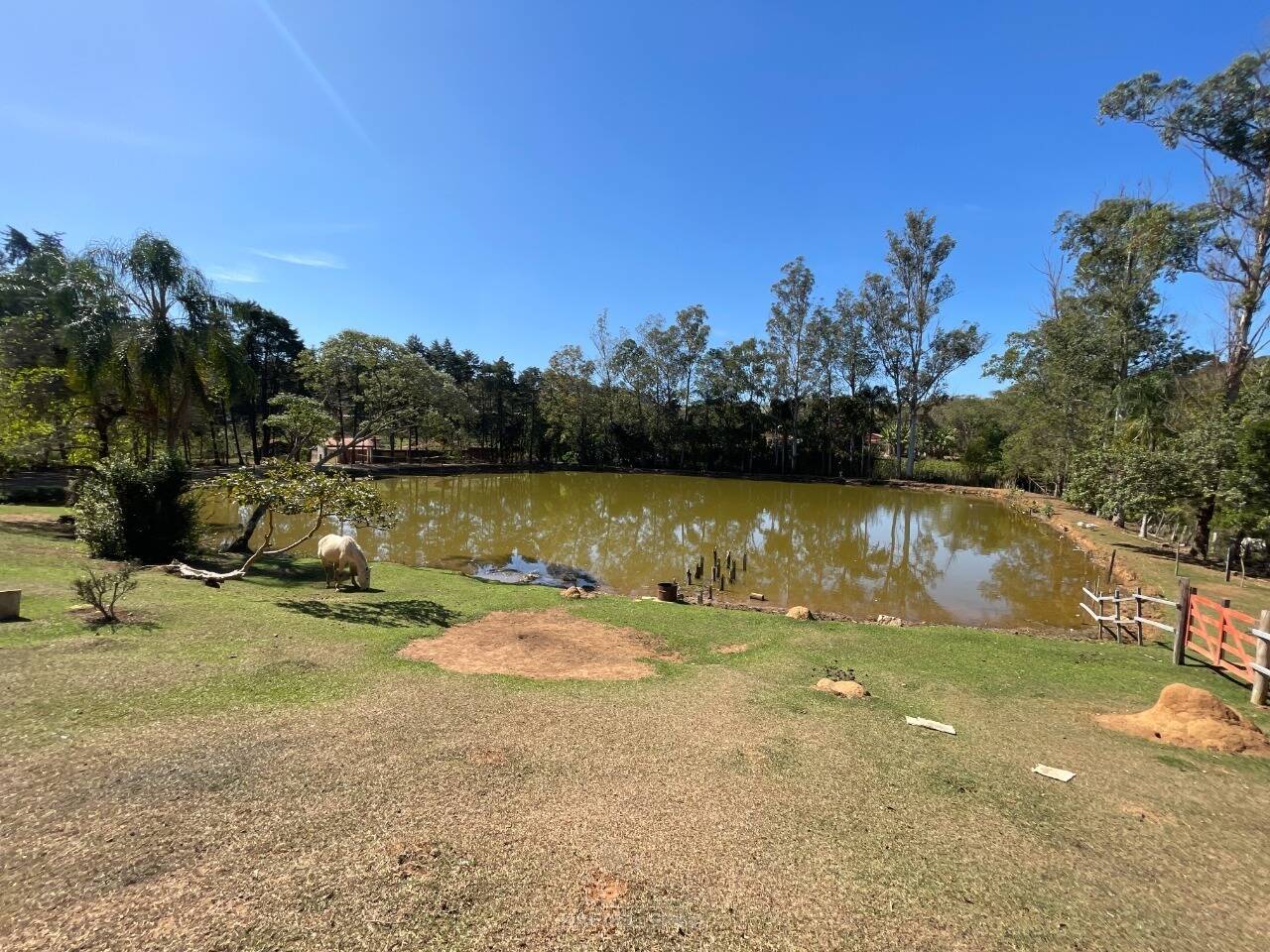 Sítio, 4 quartos, 2 hectares - Foto 41