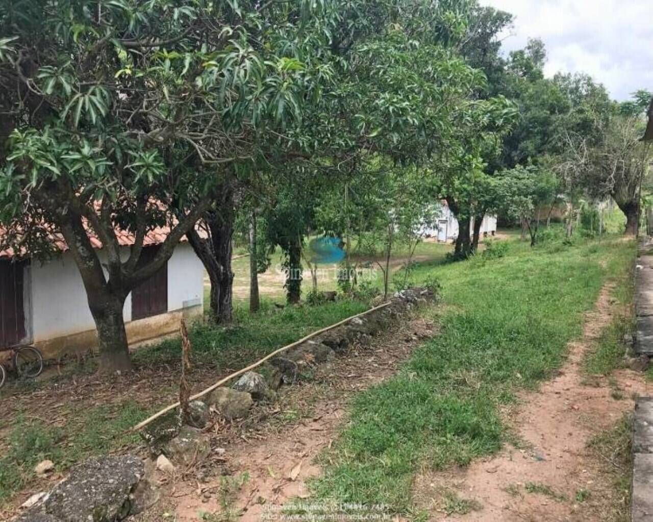 Terreno - Foto 1