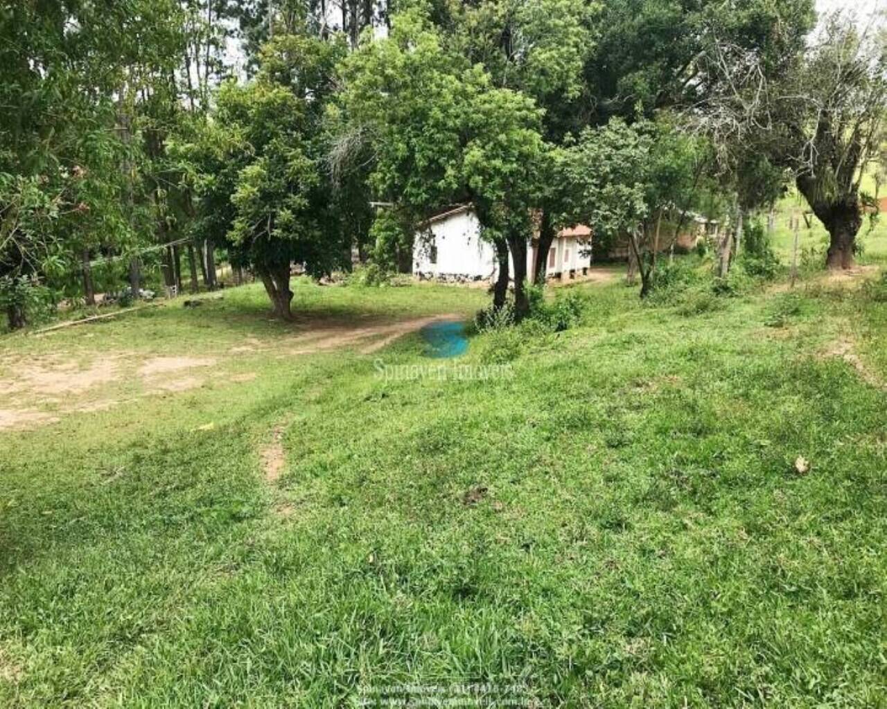 Terreno - Foto 3