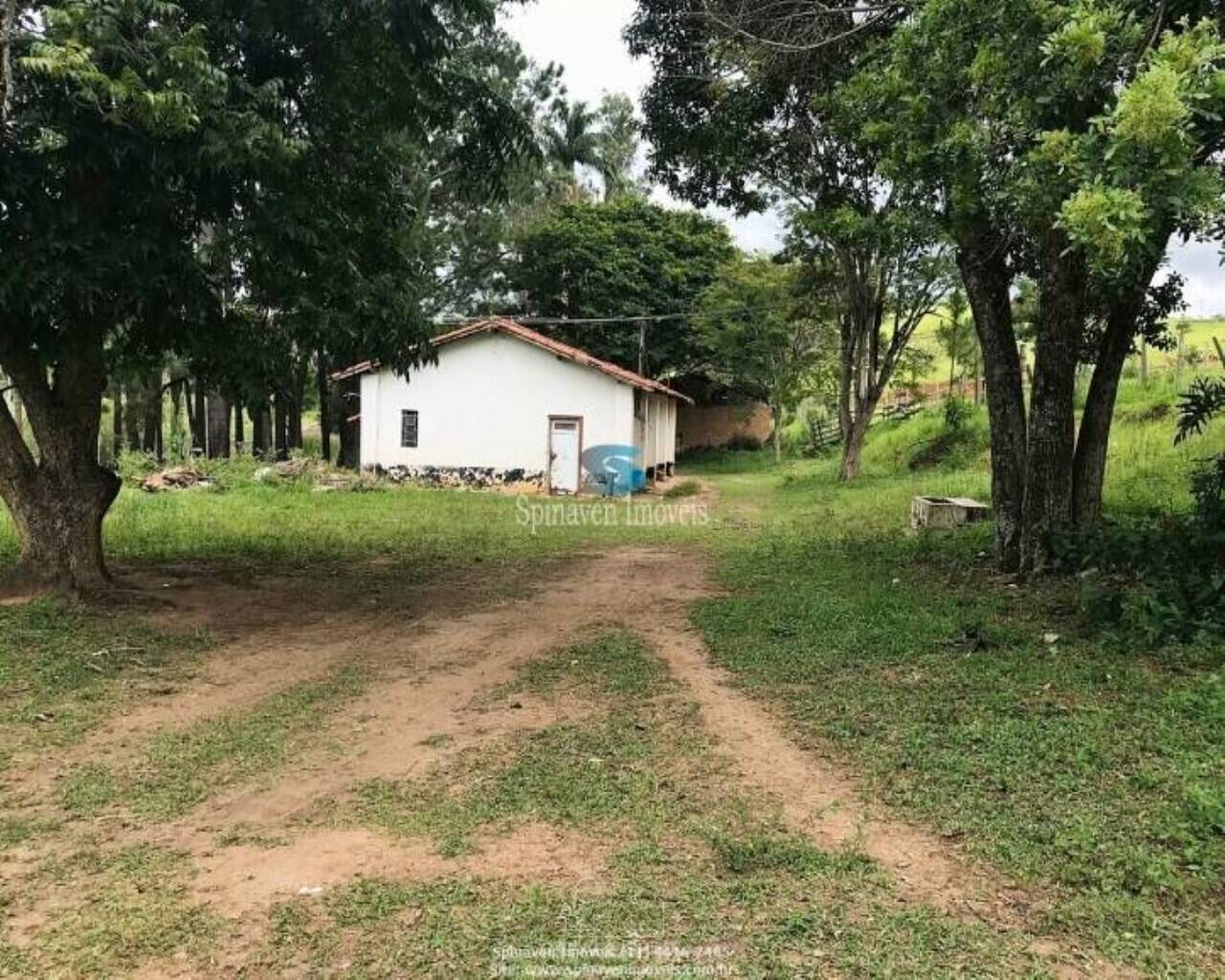 Terreno - Foto 4